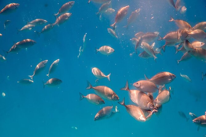 Semi-Submarine Tour from Agios Nikolaos - Scenic Coastline Views from the Upper Decks