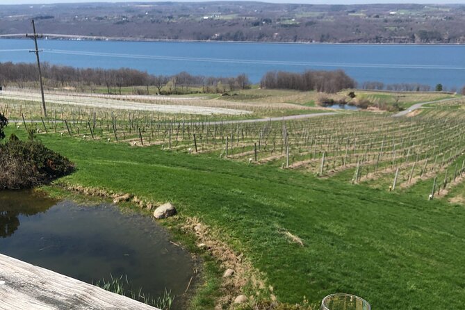 Seneca Lake South Wine Tastings Tour - Pricing, Booking, and Cancellation Details
