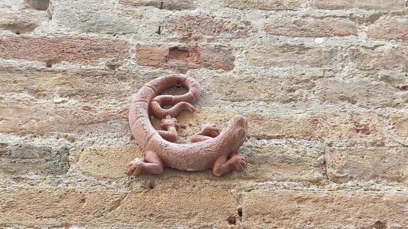 Senigallia Private Tour: Where History Meets Culture - What to Bring and Considerations