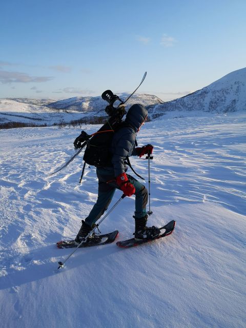 Senja Island: Winter Light Package Deal, 1 Day and 1 Night - Starting from Tromsø: The Departure and Transport Details