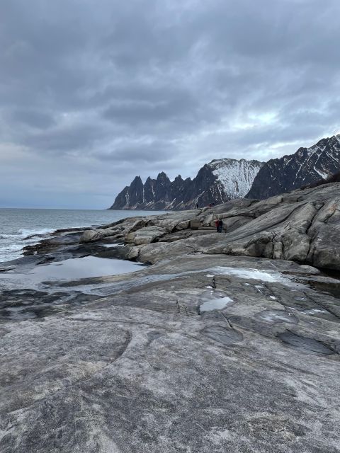 Senja Island: Winter Light Package Deal, 1 Day and 1 Night - Comfortable Accommodations at Camp Fjordbotn