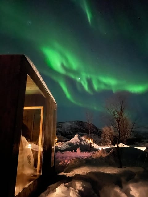 Senja island: Winter light package deal, 2 nights! - Key Points