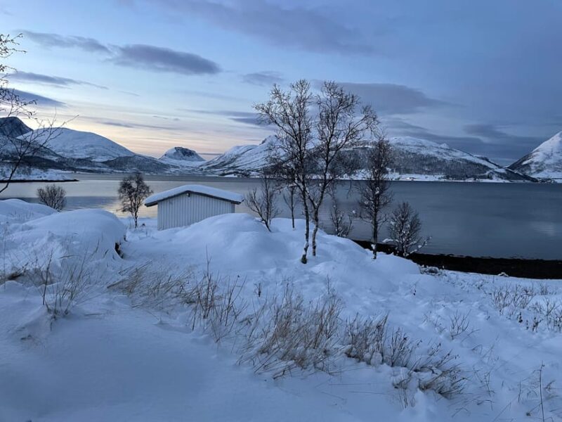 Senja island: Winter light package deal, 2 nights! - Evening Snowshoeing and Northern Light Search