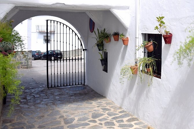 Sensational Setenil by e-bike (full day) - Genuine Praise from Past Participants