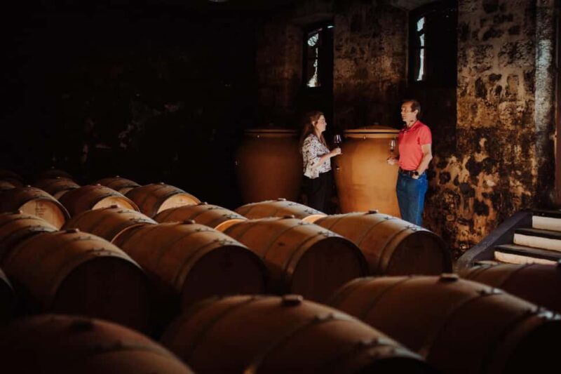 Sensory Tour of Bordeaux and Tasting in a Bordeaux vineyard - Discover Bordeaux Through All Your Senses in an 8-Hour Private Tour