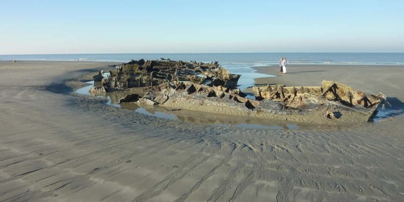 Sensory Tour of Bordeaux and Tasting in a Bordeaux vineyard - Final Thoughts on the Sensory Bordeaux Tour