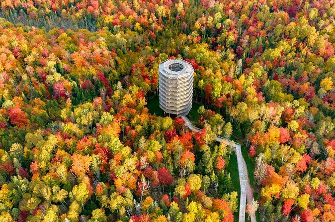 Sentier des Cimes Laurentides Scenic Views and Mont Tremblant - Physical Requirements and Accessibility