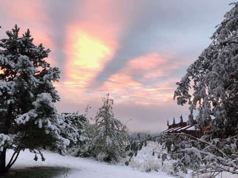 September 2025 British Columbia Rocky Mountain Birding Tour - Key Points