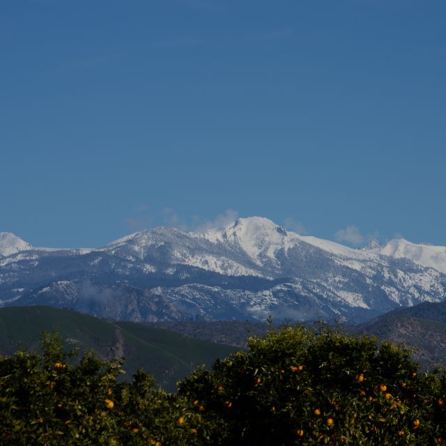 Sequoia National Park: Sherman Tree & Congress Trail Walk - Explore Sequoia National Park’s Iconic Giant Forest with a Private Guide