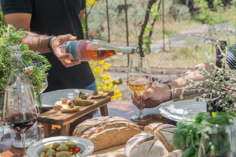 Serafica Top Experience: Wine & Olive Oil Tasting - Pairing Local Products with Tasting Samples