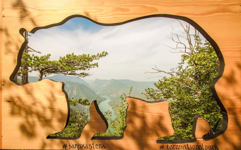 Serbia: Drina River House & Tara National Park Full Day Tour - What Sets This Tour Apart from Similar Options