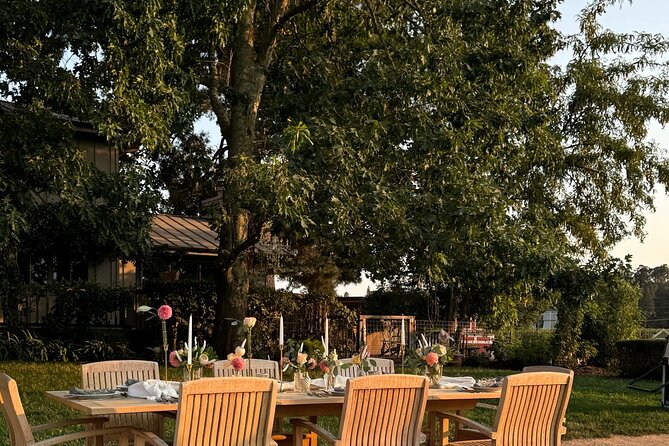 Serene and Romantic Wine Tasting Next to the Vines in Napa Valley - Key Points