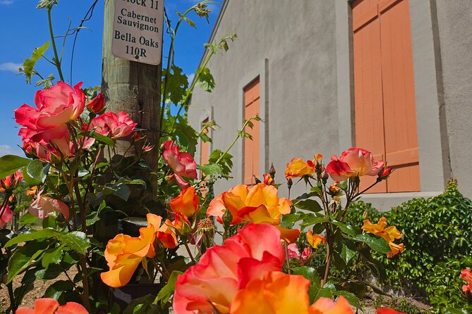Serene and Romantic Wine Tasting Next to the Vines in Napa Valley - Sitting Among the Vines: An Outside Tasting Experience