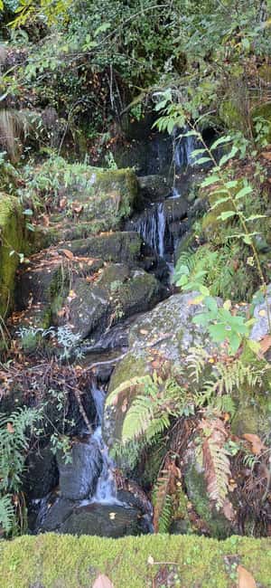 Serra da Estrela: Adventure Trails & Waterfalls Quest - The Vale do Buraco and Moitas Nursery