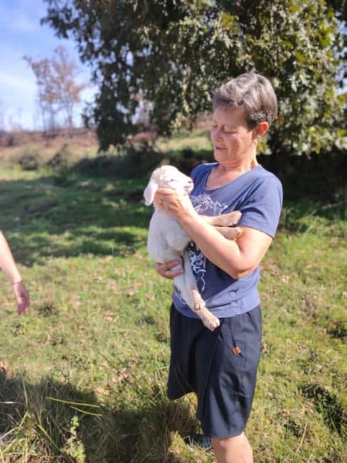 Serra da Estrela - Food and Mountain Experience - Explore Serra da Estrela’s Authentic Flavors and Scenic Beauty