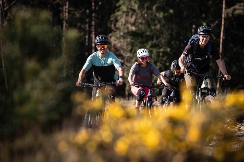 Serra da Lousã: Aldeias do Xisto Bike Tour with Local Guide - Discover the Charm of Serra da Lousã on a Guided Bike Tour