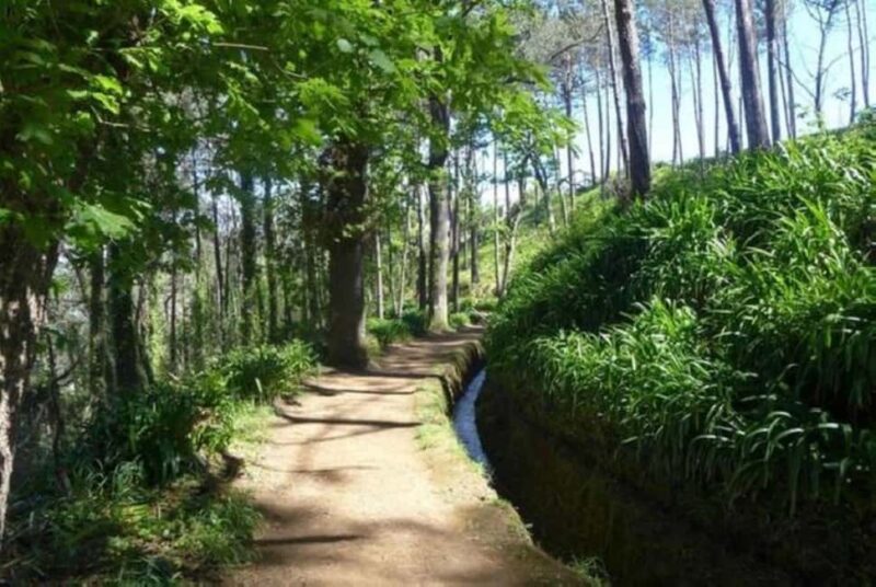 Serra dÁgua: A Scenic Levada Walk - Key Points