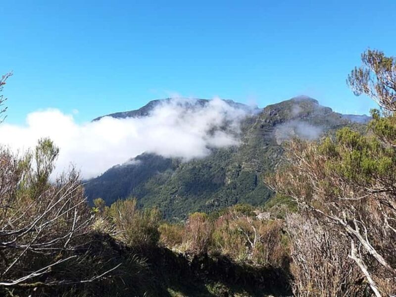 Serra dÁgua: A Scenic Levada Walk - The 5-Kilometer Scenic Trail: Highlights and Experience