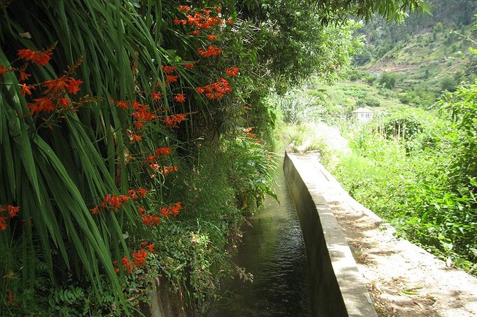 Serra D'Água Valley - Levada Walk - The Guide: Friendly, Knowledgeable, and Engaging