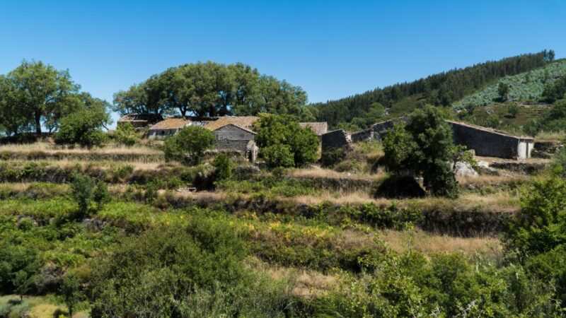 Serra de Monchique & Bravura Half Day Off-Road Day Trip - Key Points