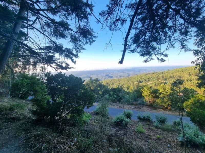 Serra de Monchique: Jeep tour with picnic included - Key Points