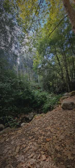 Serra de Monchique: Jeep tour with picnic included - Exploring the Serra de Monchique in a 4.5-Hour Jeep Tour