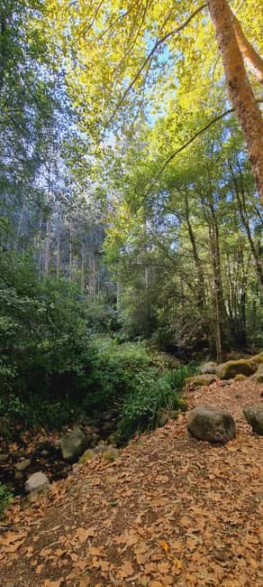 Serra de Monchique: Jeep tour with picnic included - Reaching the Fóia Viewpoint for Spectacular Views