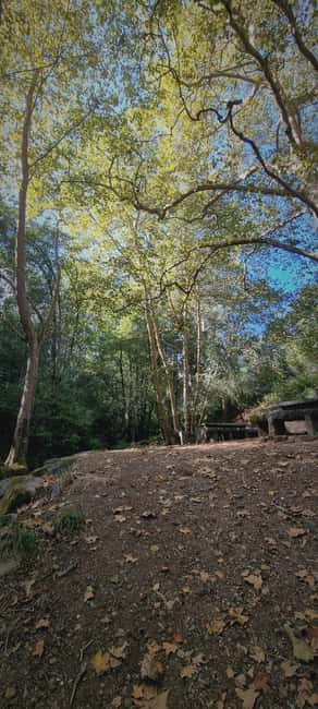 Serra de Monchique: Jeep tour with picnic included - The Secret Stop and Picnic in Nature