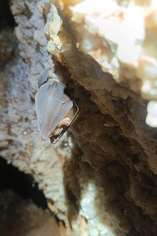 Serra dos Candeeiros: Alcobertas' Cave and the Natural Park - Starting Point and Route in the Serra de Aire e Candeeiros Natural Park