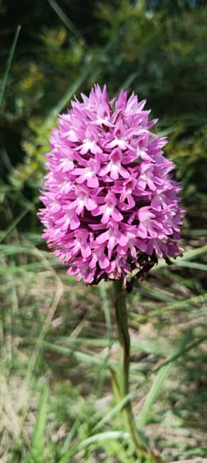 Serra dos Candeeiros by Van: Natural Park and Cave - Final Thoughts on Serra dos Candeeiros by Van