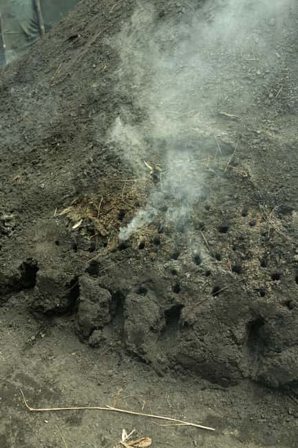 Serra San Bruno: Archiforo Forest and the charcoal burners' tradition - The 3-Hour Scenic Hike Through Serre Park