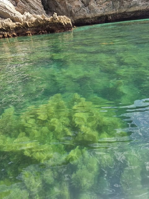 Sesimbra: 3 Bays Tour - Comparing with Similar Experiences in Sesimbra