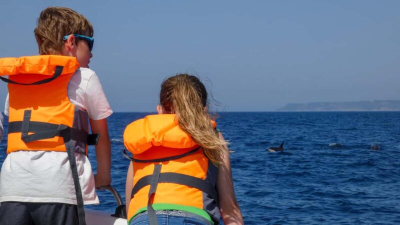 Sesimbra: Arrábida Dolphin and Whale Watching with Biologist - The Role of the Marine Biologist Guide
