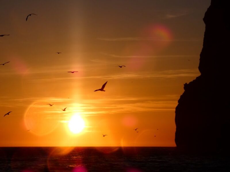 Sesimbra: Arrábida Natural Park Cabo Espichel Sunset Tour - Exploring the coastline of Arrábida Natural Park