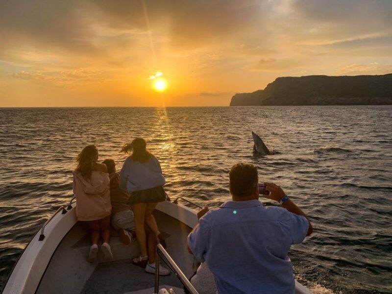 Sesimbra: Arrábida Natural Park Cabo Espichel Sunset Tour - The Experience with DayDreamExperience: Knowledgeable Guides and Safety