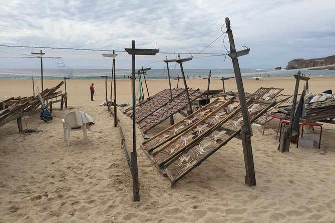 Sesimbra, Azeitao and Setubal Private Tour with Wine Tasting - Visiting Baia de Setúbal and the Local Culture