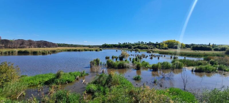 Sesimbra: Birdwatching Experience with Local Delights - Discover the Birdwatching Tour in Sesimbra with Local Delights