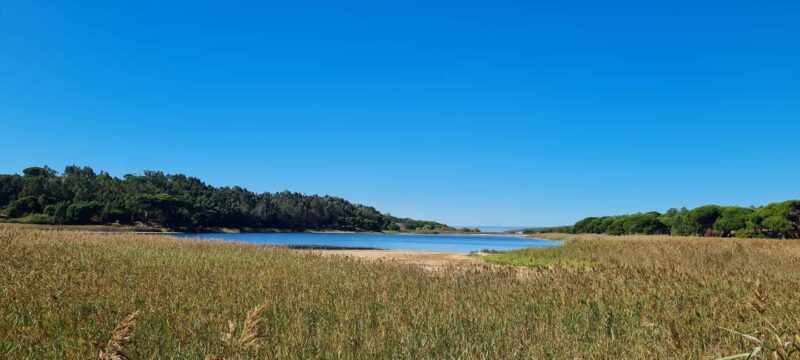 Sesimbra: Birdwatching Experience with Local Delights - Key Points