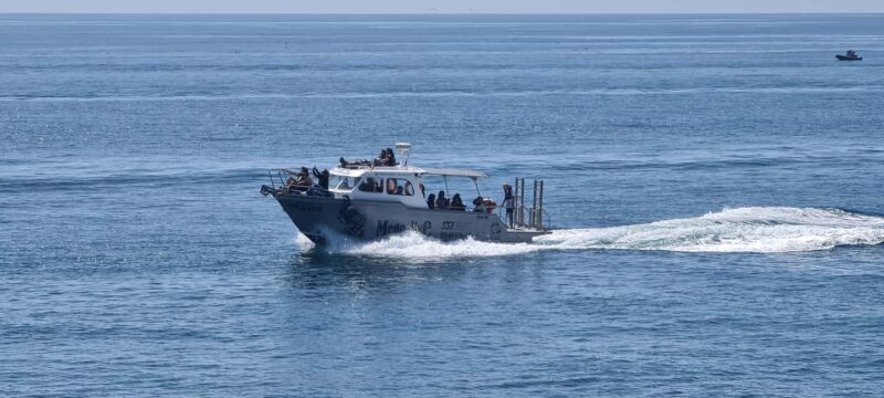 Sesimbra: Boat Trip to the wild beaches and caves - Practical Details and Accessibility