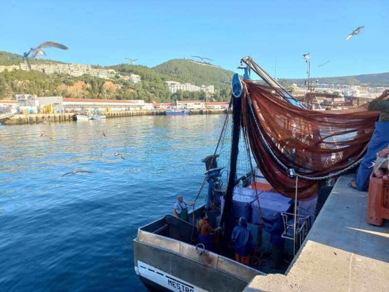 Sesimbra/Cabo Espichel/Aldeia do Meco Tour - Practical Details and What to Bring