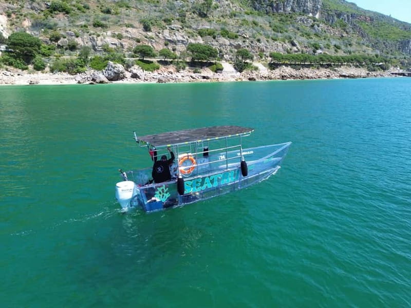 Sesimbra: Clear Boat Experience - Opportunities for Swimming and Marine Observation