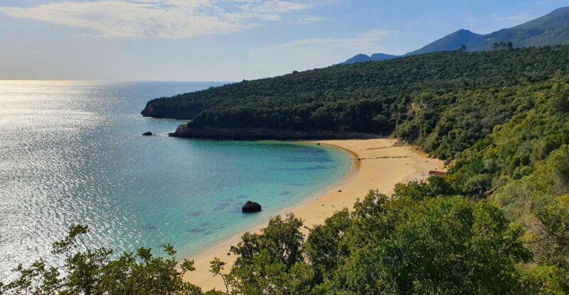 Sesimbra e Arrábida Natural Park: 1 Day Tour & Wine Tasting - Key Points