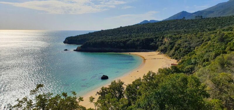Sesimbra e Arrábida Natural Park: 1 Day Tour & Wine Tasting - Exploring Sesimbra’s Historic Charm and Seaside Life