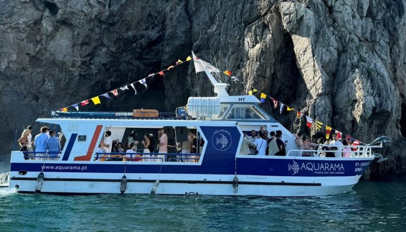 Sesimbra: Family Friendly Boat Sea Tour w/ Submarine Vision - Encountering Dolphins and Marine Life