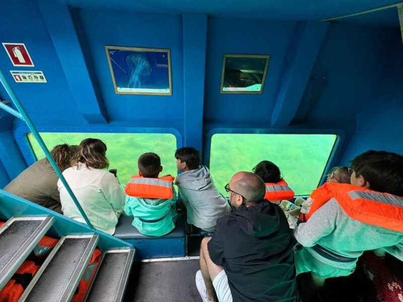 Sesimbra: Family Friendly Boat Sea Tour w/ Submarine Vision - Scenic Views from the Upper Platform