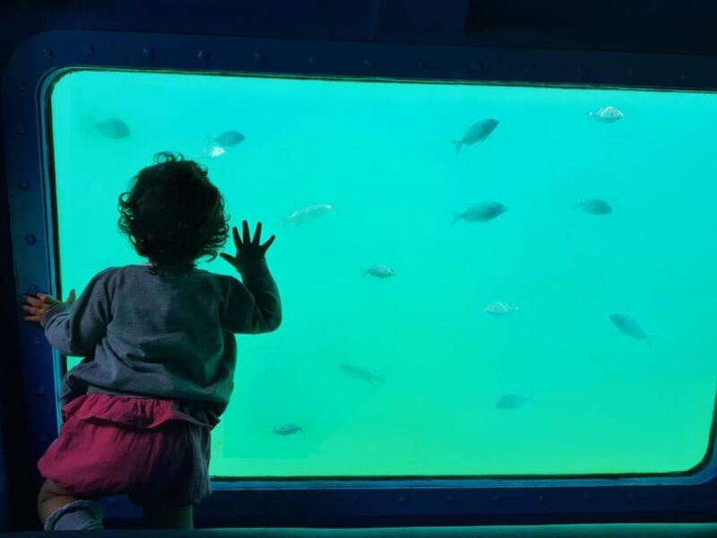 Sesimbra: Family Friendly Boat Sea Tour w/ Submarine Vision - The Final Stop at Inferno Beach