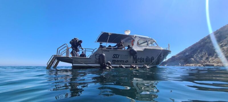 Sesimbra: First Scuba Diving Experience in the Ocean - Exploring the Marine Park and Underwater Environment
