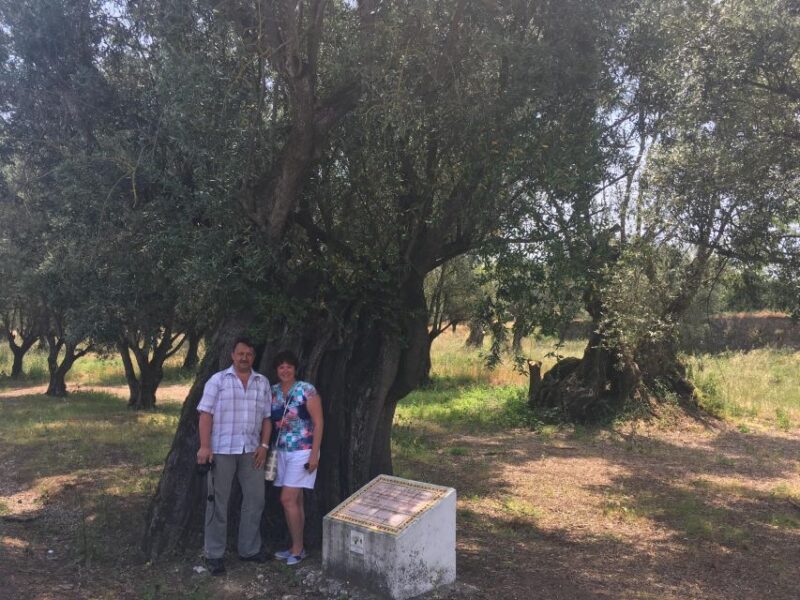 Sesimbra: Half-Day Tour to Arrabida with Wine Tasting - Scenic Drive Through Arrabida Natural Park