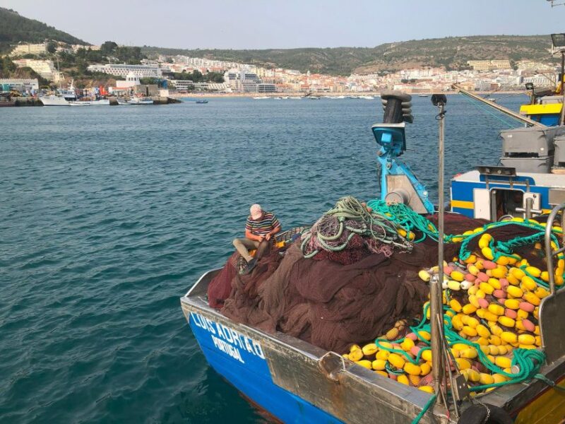 Sesimbra: Half-Day Tour to Arrabida with Wine Tasting - What Makes This Tour Stand Out