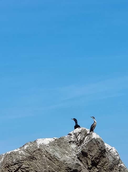 Sesimbra: Private Boat - Beach and Caves - Customizable Itinerary and Flexibility